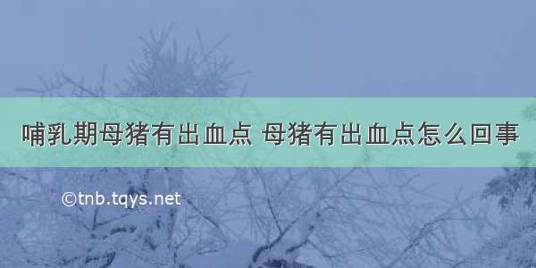 哺乳期母猪有出血点 母猪有出血点怎么回事