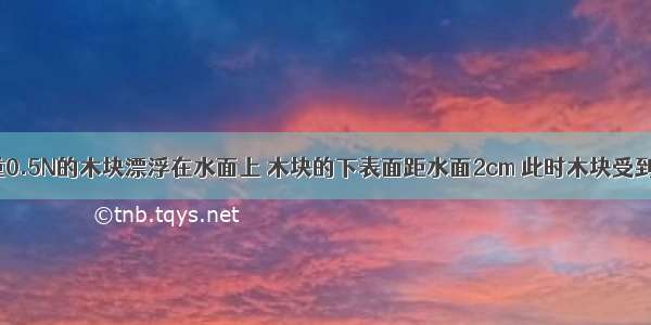 如图所示 重0.5N的木块漂浮在水面上 木块的下表面距水面2cm 此时木块受到的浮力为_