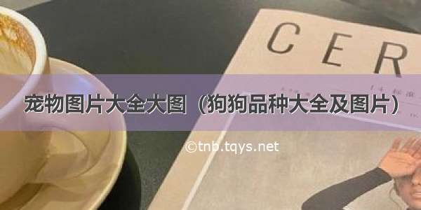 宠物图片大全大图（狗狗品种大全及图片）