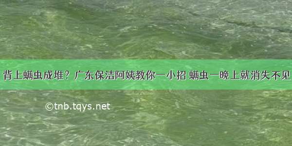 背上螨虫成堆？广东保洁阿姨教你一小招 螨虫一晚上就消失不见