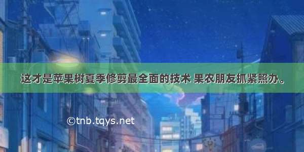 这才是苹果树夏季修剪最全面的技术 果农朋友抓紧照办。