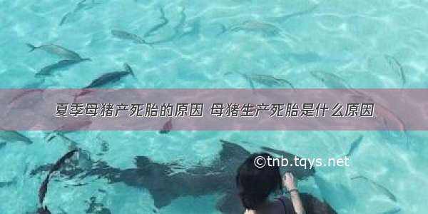 夏季母猪产死胎的原因 母猪生产死胎是什么原因