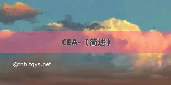 CEA-（简述）