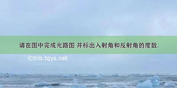 请在图中完成光路图 并标出入射角和反射角的度数．