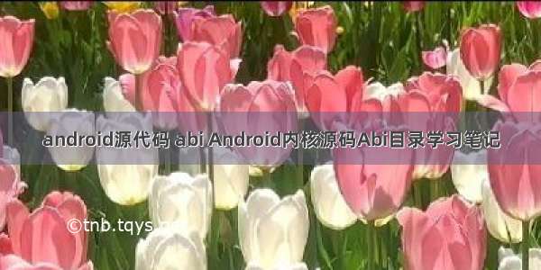 android源代码 abi Android内核源码Abi目录学习笔记