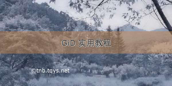 GiD 实用教程