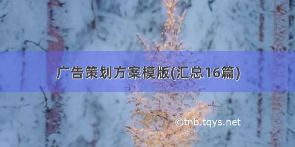 广告策划方案模版(汇总16篇)