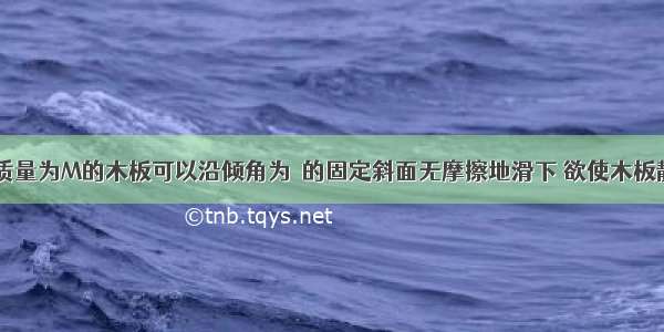 如图所示 质量为M的木板可以沿倾角为α的固定斜面无摩擦地滑下 欲使木板静止在斜面