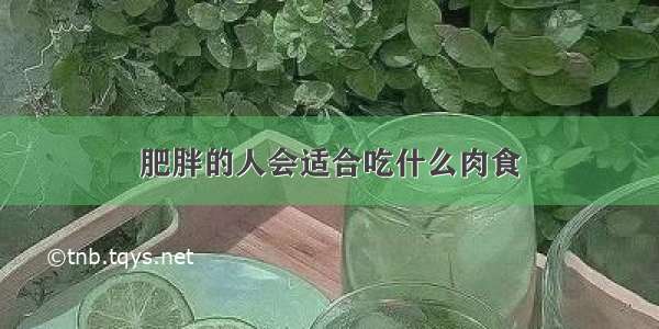 肥胖的人会适合吃什么肉食