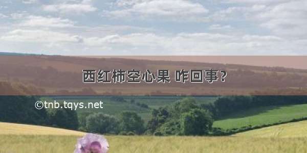 西红柿空心果 咋回事？