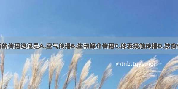 肝炎的传播途径是A.空气传播B.生物媒介传播C.体表接触传播D.饮食传播