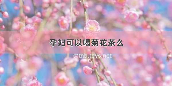 孕妇可以喝菊花茶么