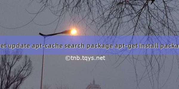 Apt 命令解说（apt-get update apt-cache search package apt-get install package apt-get remove ）