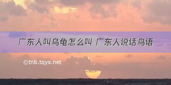 广东人叫乌龟怎么叫 广东人说话鸟语