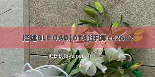 搭建BLE OAD(OTA)环境 cc26x2