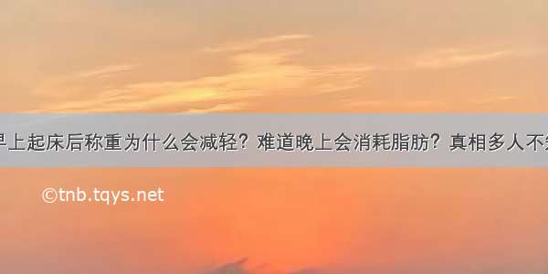 早上起床后称重为什么会减轻？难道晚上会消耗脂肪？真相多人不知