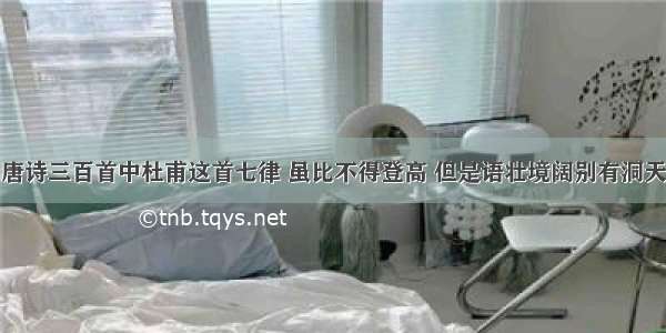 唐诗三百首中杜甫这首七律 虽比不得登高 但是语壮境阔别有洞天