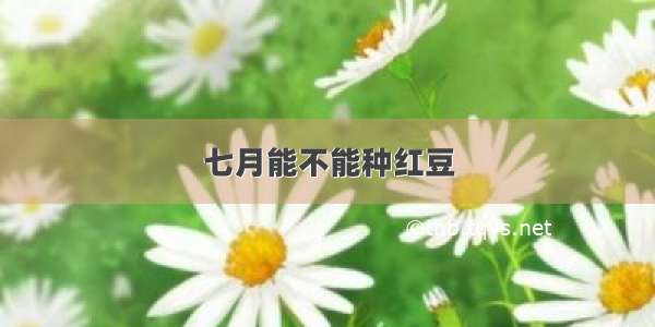 七月能不能种红豆