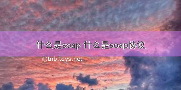 什么是soap 什么是soap协议