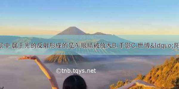 如图所示的四种情景中 属于光的反射形成的是A.眼睛被放大B.手影C.世博“阳光谷”在夜