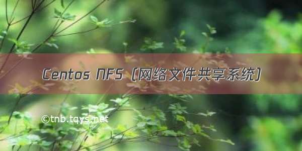 Centos NFS（网络文件共享系统）