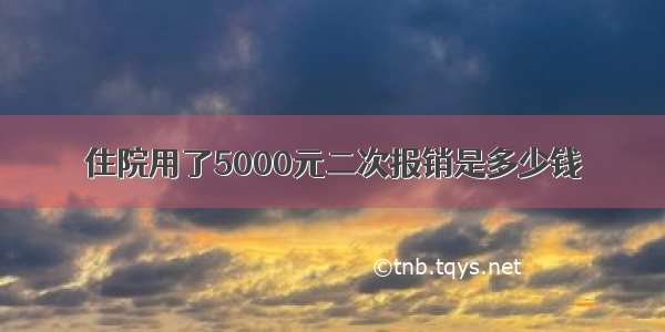 住院用了5000元二次报销是多少钱