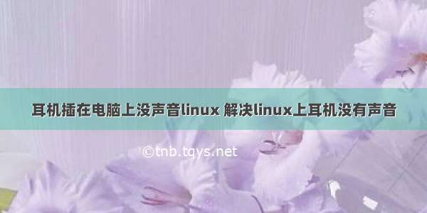 耳机插在电脑上没声音linux 解决linux上耳机没有声音