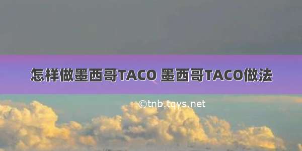 怎样做墨西哥TACO 墨西哥TACO做法