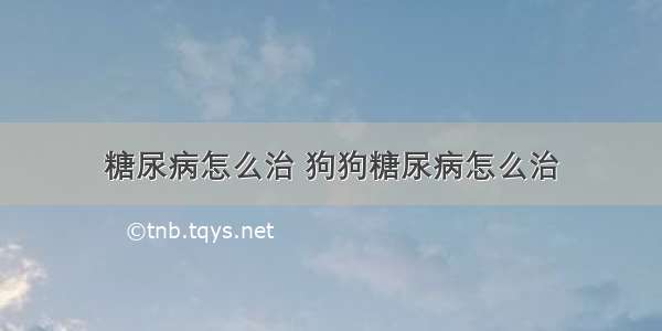 糖尿病怎么治 狗狗糖尿病怎么治