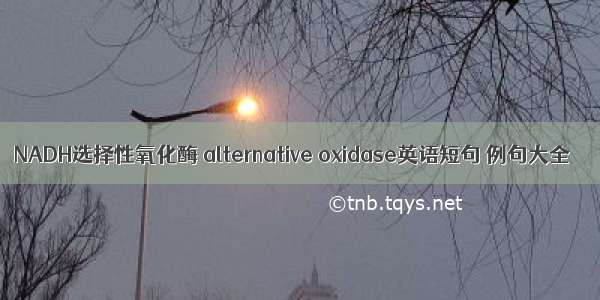 NADH选择性氧化酶 alternative oxidase英语短句 例句大全