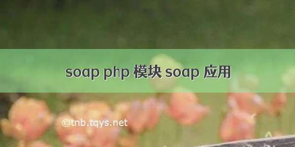 soap php 模块 soap 应用