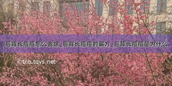 后背长痘痘怎么去除_后背长痘痘的偏方_后背长痘痘是为什么