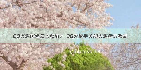 QQ火炬图标怎么取消？ QQ火炬手关闭火炬标识教程