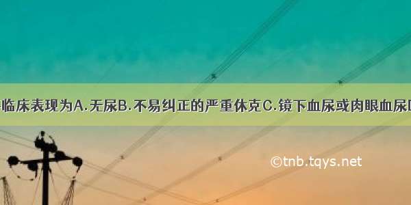 肾挫伤的主要临床表现为A.无尿B.不易纠正的严重休克C.镜下血尿或肉眼血尿D.腰部肿块和