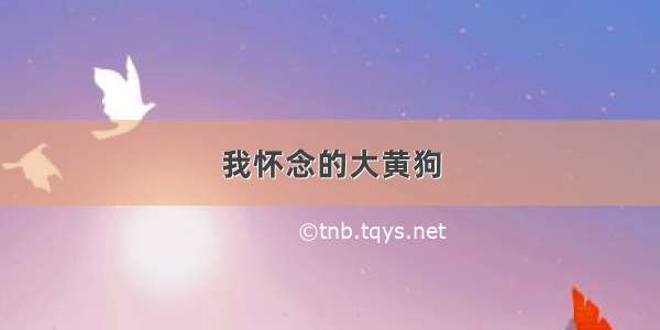 我怀念的大黄狗