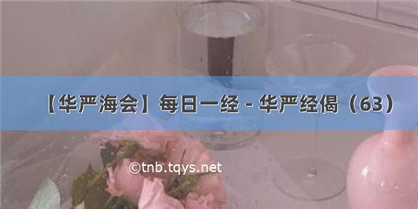 【华严海会】每日一经 - 华严经偈（63）