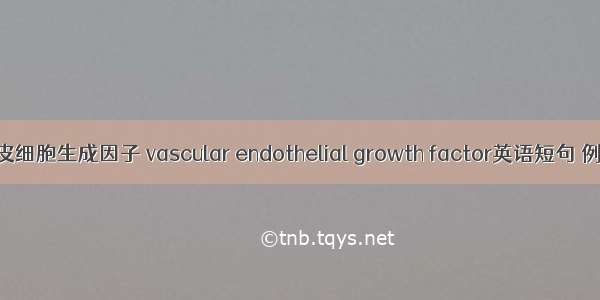 血管内皮细胞生成因子 vascular endothelial growth factor英语短句 例句大全