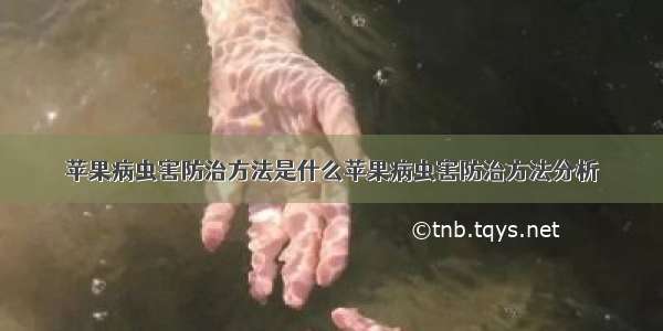 苹果病虫害防治方法是什么苹果病虫害防治方法分析