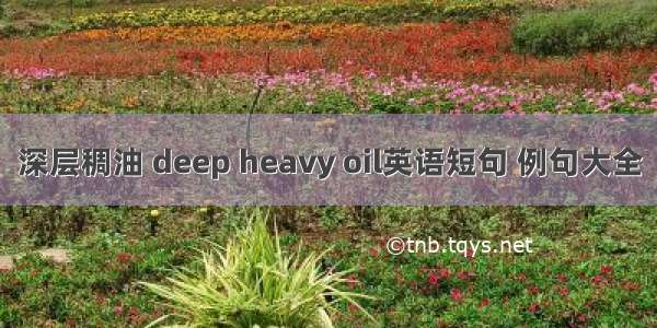 深层稠油 deep heavy oil英语短句 例句大全