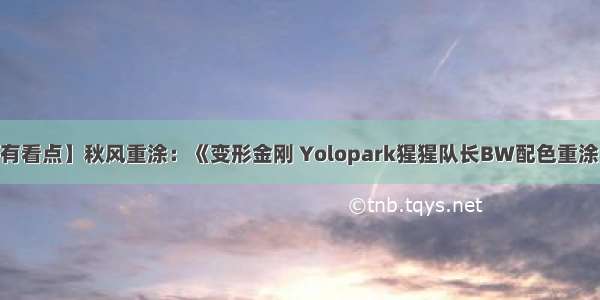 【有看点】秋风重涂：《变形金刚 Yolopark猩猩队长BW配色重涂！》