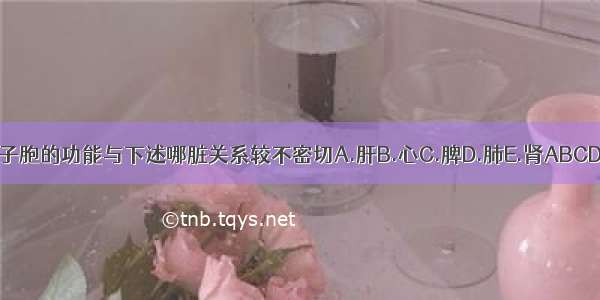 女子胞的功能与下述哪脏关系较不密切A.肝B.心C.脾D.肺E.肾ABCDE