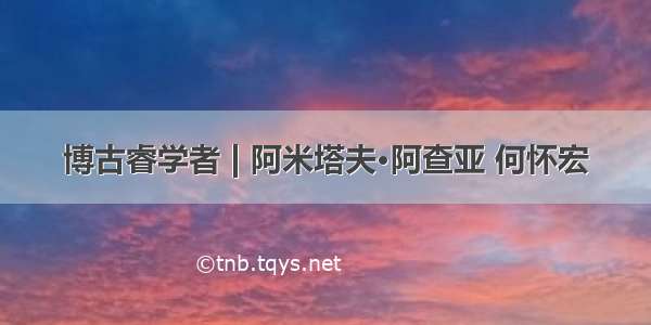 博古睿学者 | 阿米塔夫·阿查亚 何怀宏