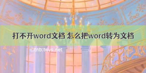 打不开word文档 怎么把word转为文档