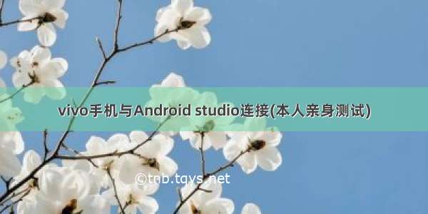vivo手机与Android studio连接(本人亲身测试)