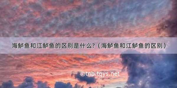 海鲈鱼和江鲈鱼的区别是什么?（海鲈鱼和江鲈鱼的区别）