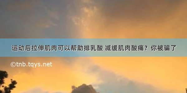 运动后拉伸肌肉可以帮助排乳酸 减缓肌肉酸痛？你被骗了