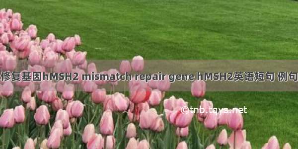 错配修复基因hMSH2 mismatch repair gene hMSH2英语短句 例句大全