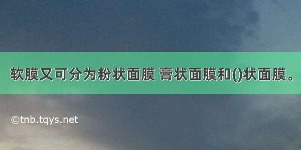 软膜又可分为粉状面膜 膏状面膜和()状面膜。