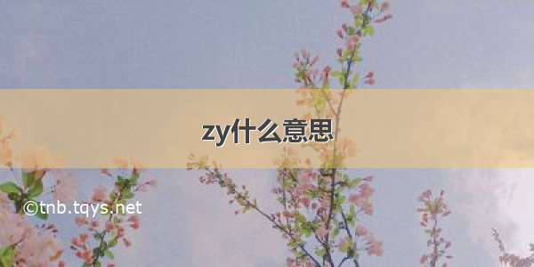 zy什么意思