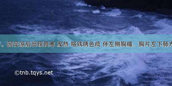 男性 30岁。因受凉后出现畏寒 发热 咯铁锈色痰 伴左侧胸痛。胸片左下肺大片密度高